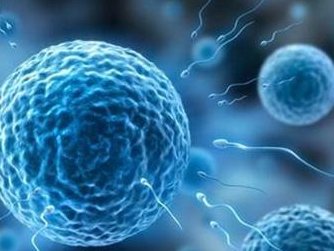 在广州做第三代试管婴儿费用多少？