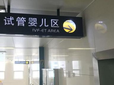 试管婴儿移植后的饮食调理，螃蟹是不是你的，之一？