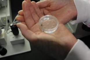 绍兴正规医院做三代试管婴儿单周期费用大约是多少？流程步骤有哪些？